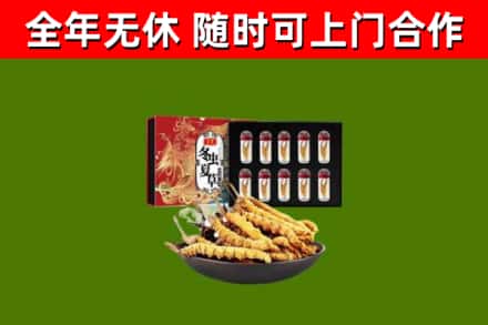 市中区烟酒回收冬虫夏草礼盒.jpg