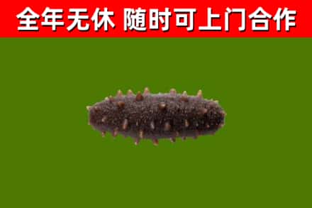 市中区烟酒回收干海参.jpg